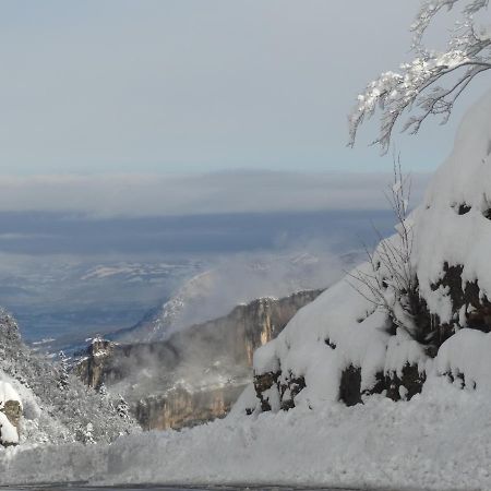Hotel Du Col De La Machine サン・ジャン・アン・ロワイヤン エクステリア 写真