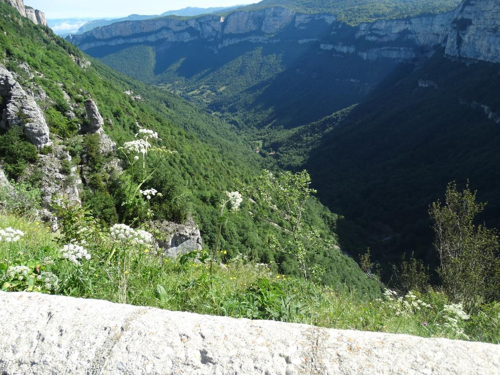 Hotel Du Col De La Machine サン・ジャン・アン・ロワイヤン エクステリア 写真