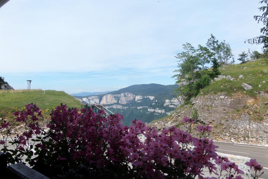 Hotel Du Col De La Machine サン・ジャン・アン・ロワイヤン 部屋 写真