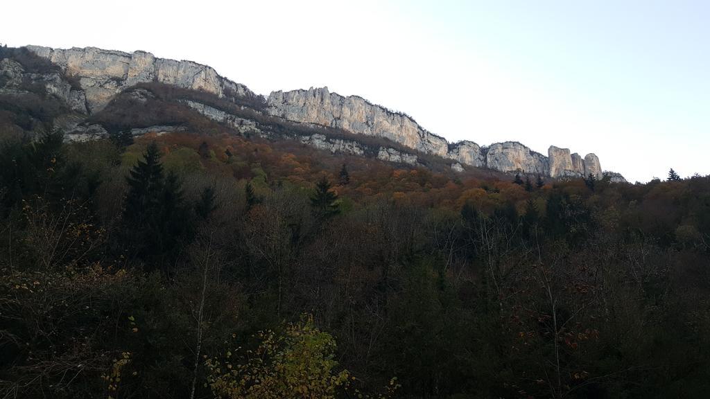 Hotel Du Col De La Machine サン・ジャン・アン・ロワイヤン エクステリア 写真