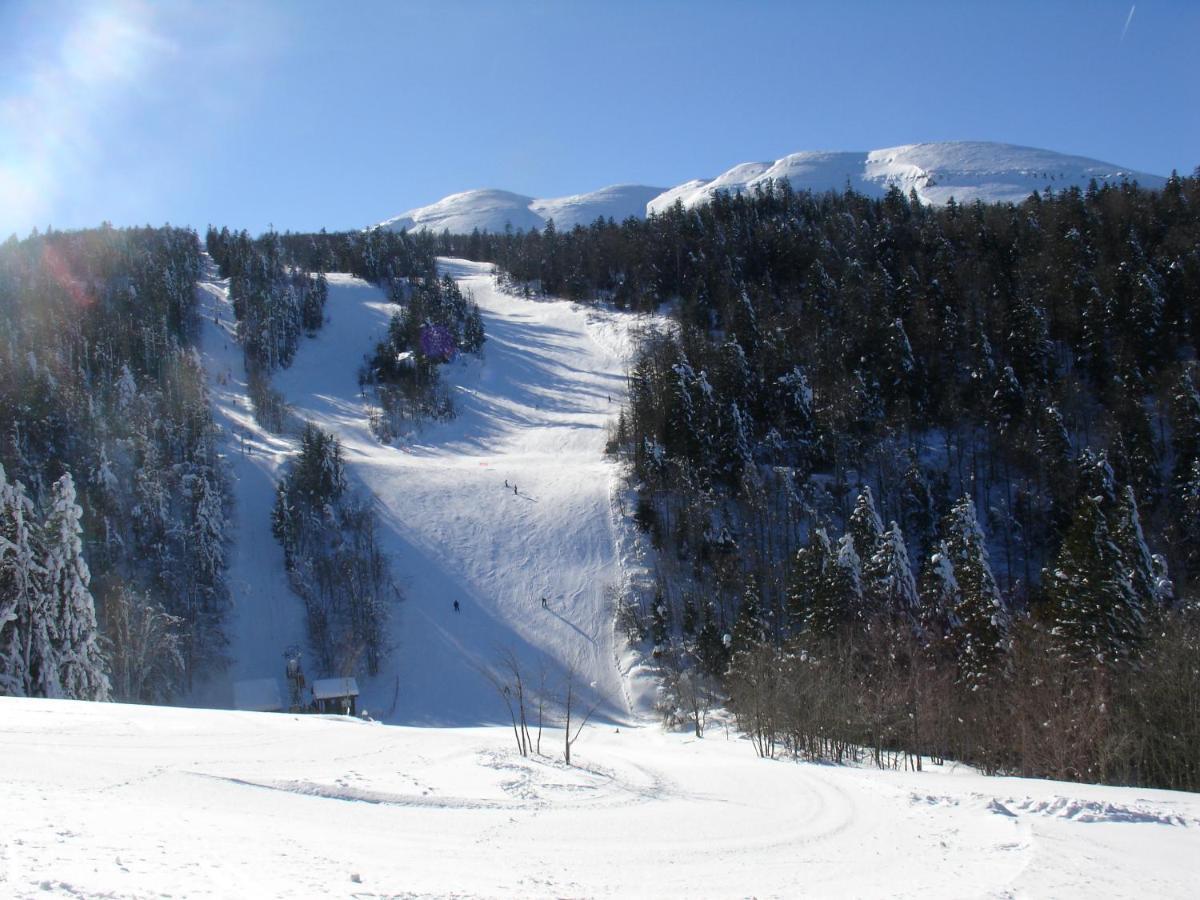Hotel Du Col De La Machine サン・ジャン・アン・ロワイヤン エクステリア 写真